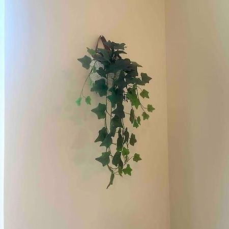Appartement Noe Centre Ville 툴롱 외부 사진