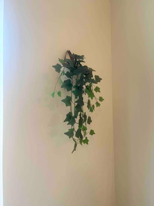 Appartement Noe Centre Ville 툴롱 외부 사진
